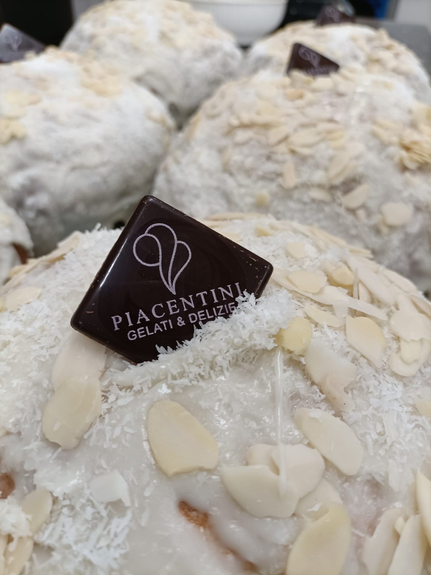 PANETTONE ARTIGIANALE CIOCCOLATO BIANCO COCCO E MANDORLA