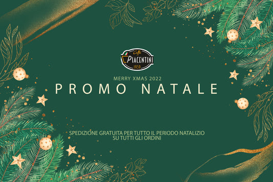 Promo spedizione gratuita - Natale 2022
