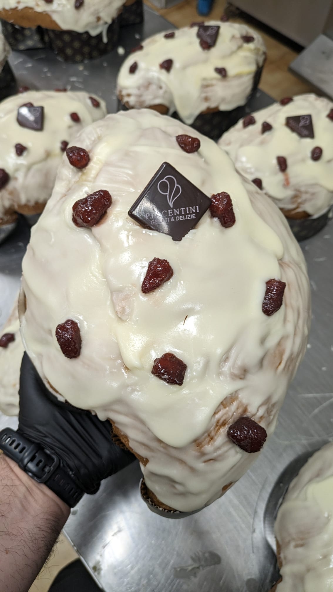 COLOMBA CREMA CHANTILLY & FRAGOLINE DI BOSCO RIPIENA 1,6KG