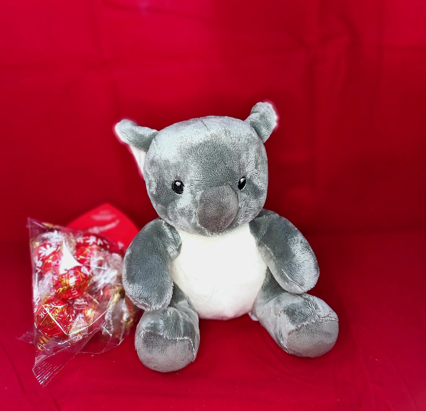 Teneri Peluche LINDT
