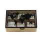 Box tisane dal mondo